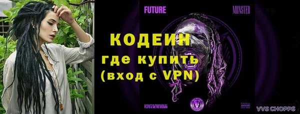 сатива Костерёво
