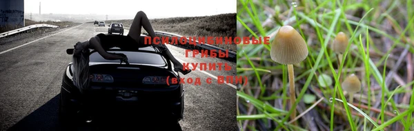 MESCALINE Корсаков