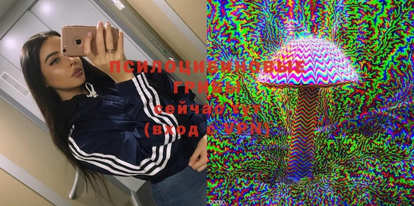 гашик Краснослободск