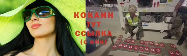 сатива Костерёво