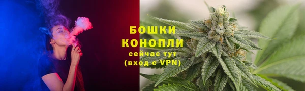 сатива Костерёво