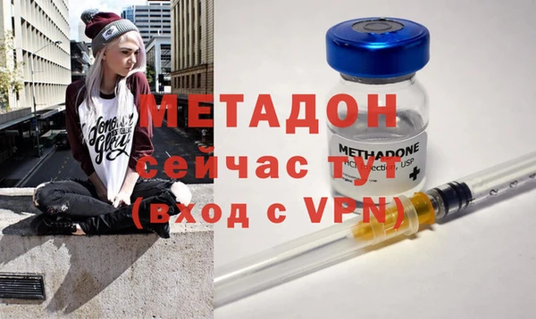 сатива Костерёво