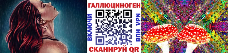 Купить где  Белёв  Псилоцибиновые грибы Psilocybine cubensis 